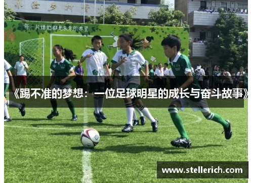 《踢不准的梦想：一位足球明星的成长与奋斗故事》