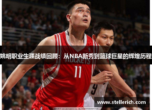 姚明职业生涯战绩回顾：从NBA新秀到篮球巨星的辉煌历程