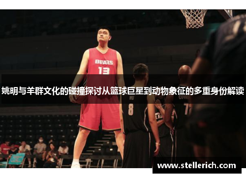 姚明与羊群文化的碰撞探讨从篮球巨星到动物象征的多重身份解读
