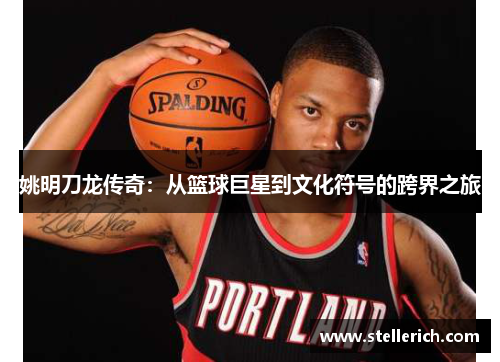 姚明刀龙传奇：从篮球巨星到文化符号的跨界之旅