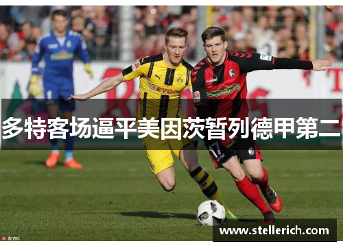 多特客场逼平美因茨暂列德甲第二